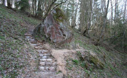 2_Mokas ir Mokiukas foto G.Šukytė.jpg